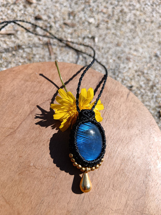 Collana dell'Attrazione